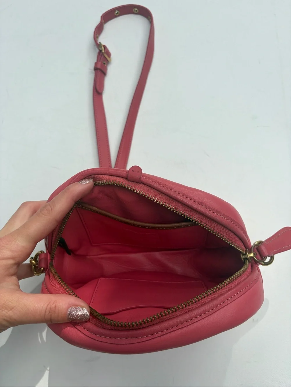 Coach Watermelon Camera Bag
